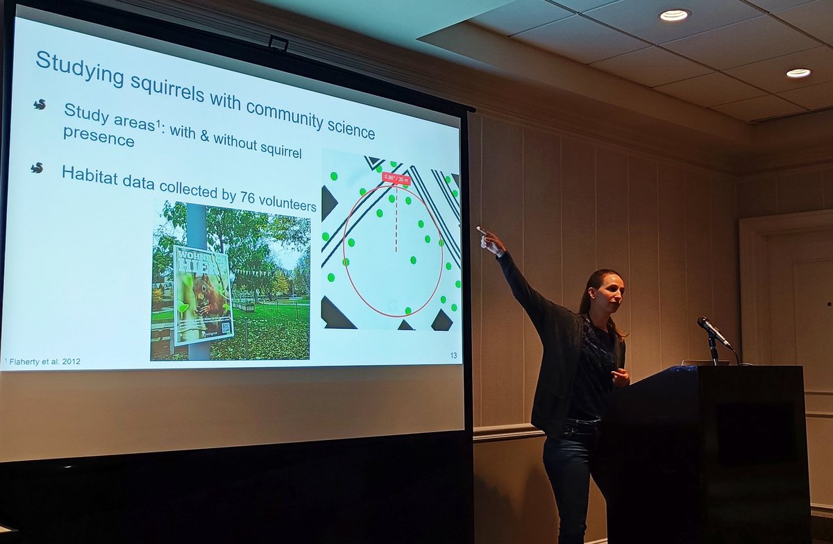 Kavega21's tweet photo. Community science, urban red squirrels, and connectivity modeling in a fantastic talk by @a_taucher and @TiereWild + @ELE_ETHWSL.

Working to build our green spaces to expand the connectivity of our adorable arboreal neighbors https://t.co/0gPGv3M0Pv
