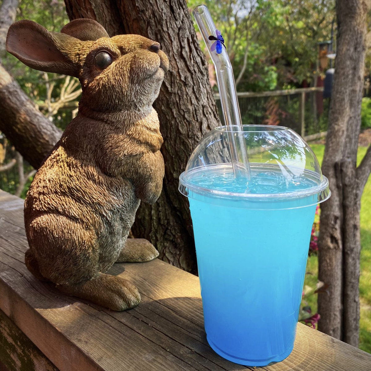 TheLastLinda's tweet photo. Bunny wanted some Blue #Lemonade from #GigliCaffe. I gave it to her to distract her from my #vegan #croissants. Both hit the spot on this hazy, breezy afternoon. 

#cafe #bakery #CoffeeShop #BabyPoint @BabyPointGates #Toronto #Veganuary #GoVegan https://t.co/j2qbFqnjNb