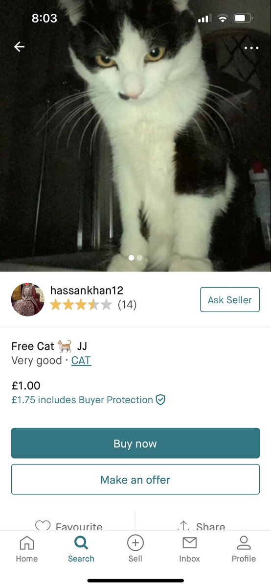 meg 🌷 tweet media