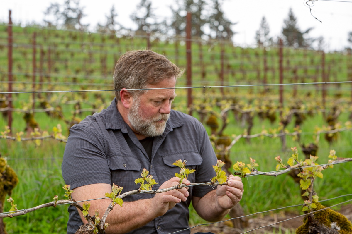 Interpreting Wine @winepodcast Ep 532: Adam Campbell, Elk Cove, Oregon Winemaker 2023 Series, 6/6. Thank you Lawrence Francis for this great interview.  l8r.it/vg0O