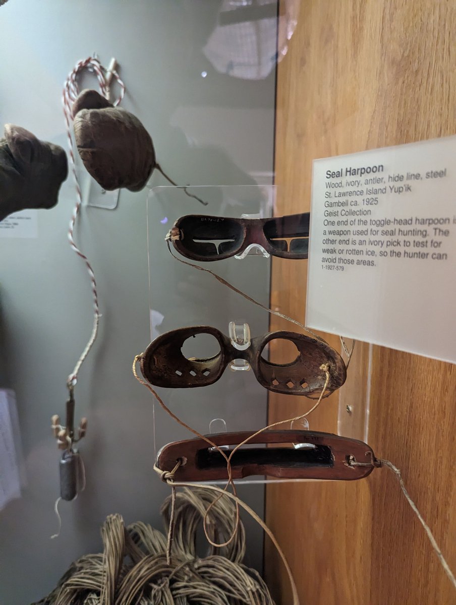 Got to see some of them up in Alaska when we went. I want some.