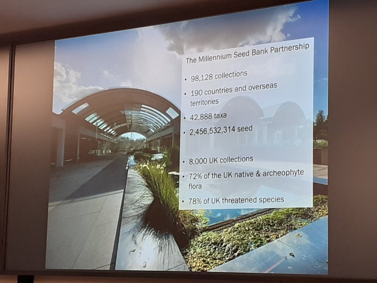 Janetalkstrees's tweet image. Today our team visited one of the World's most biodiversity places..the Millennium Seed Bank at Wakehurst. From underground vault to Wealden ancient woodland in a few minutes, we appreciated the importance of ensuring resilient genetic resources to help tackle climate change.