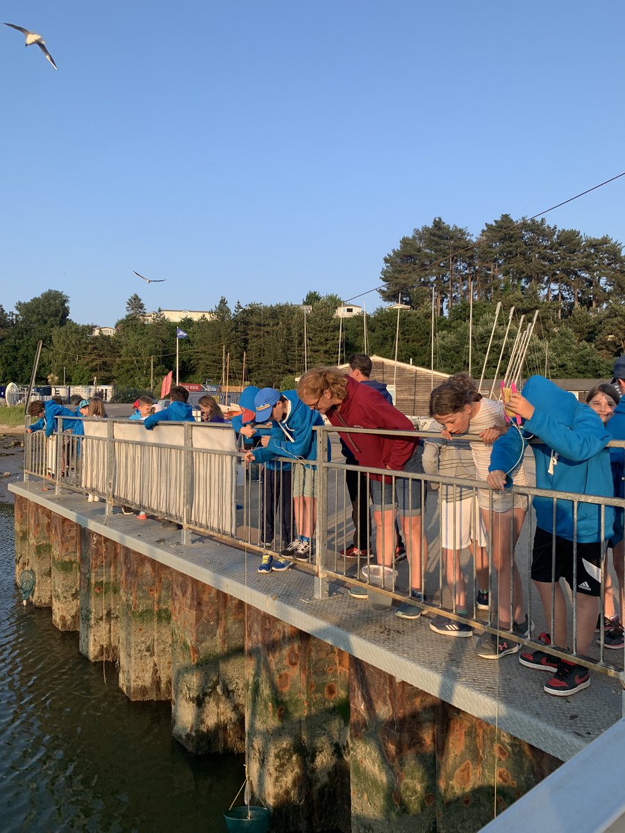 BCrichard tweet media