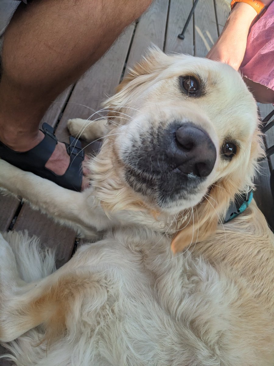 I would die for this seal