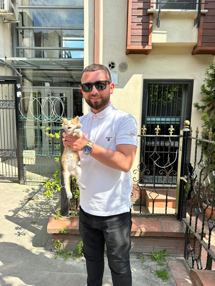 iamserdarg's tweet photo. Buraya mutlu bi kedi bırakıyorum #cats https://t.co/A3JcmLbB4q