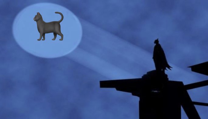 GG_TheOwl's tweet photo. #CatSignal ✨✨✨ https://t.co/Z4i8tBHn2P