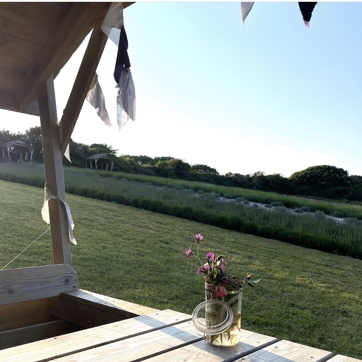 Office set up for the week as I work with @cornishlavender on their social media strategy. Beautiful views very much a perk of this job.

#publicrelations #smallbusinessuk #lavenderfarm #socialmediastrategy #prclub