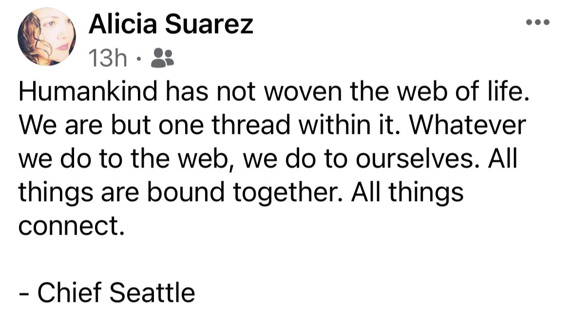 Alicia4laughter's tweet image. #ponder #chiefseattle #wisdom 🤍