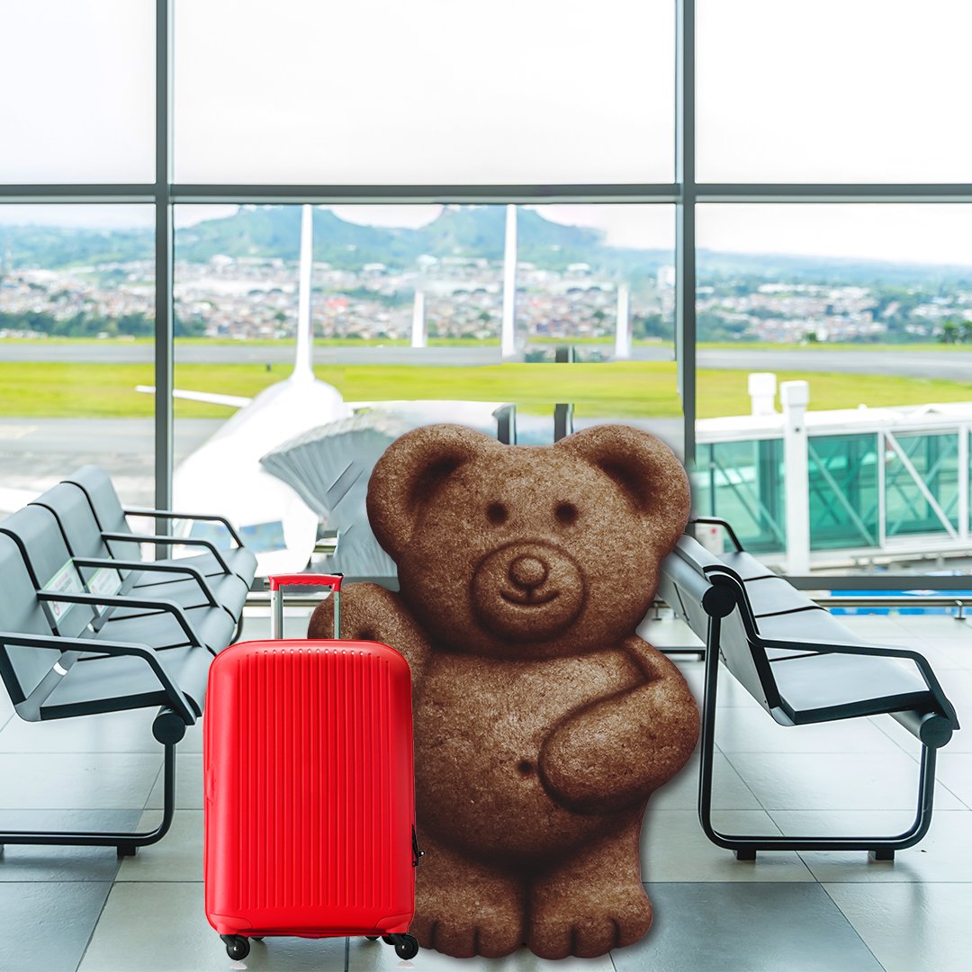 Teddy tweet media