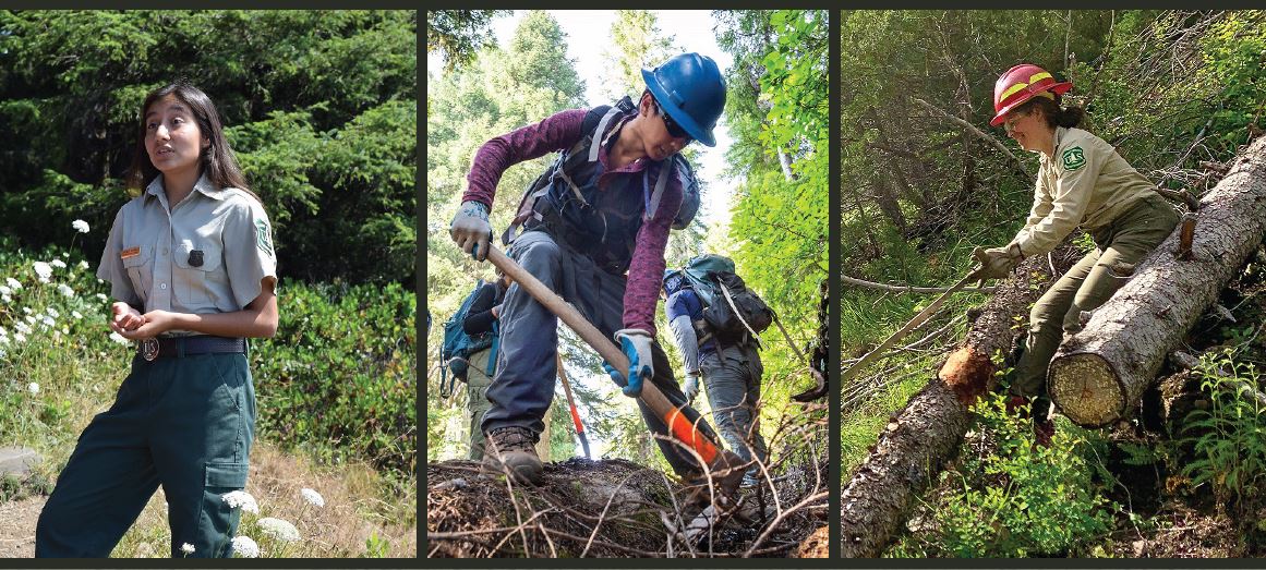 Want to grow your career and work in the great outdoors? Apply by June 12 to join our team as an entry-level forestry technician!   Choose from exciting and rewarding locations in Arizona, New Mexico, Idaho, Montana, Nevada, or Wyoming.
usajobs.gov/job/729145700?…