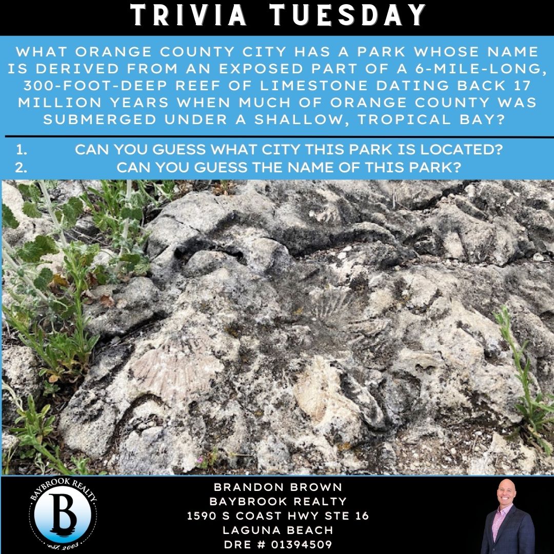 Trivia Tuesday!

Answers at 6:00 @BayBrookRealty

#BayBrookRealty #OCTrivia #OrangeCountyRealEstate 
#OrangeCountyRealtor #Fossils #OrangeCounty #OCParks
#KnowYourOC #OCRealtor #LagunaBeachBrokerage 
#ServingNotSelling #1Peter410