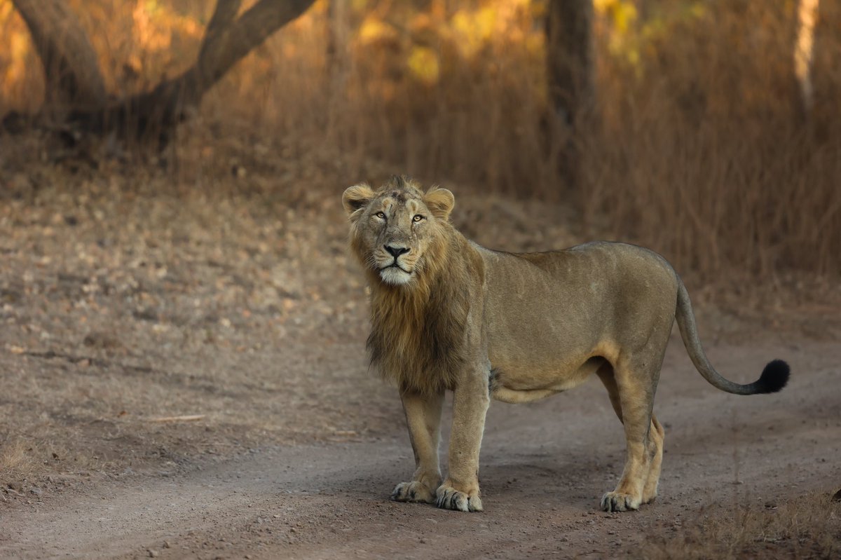 Alexander James tweet media