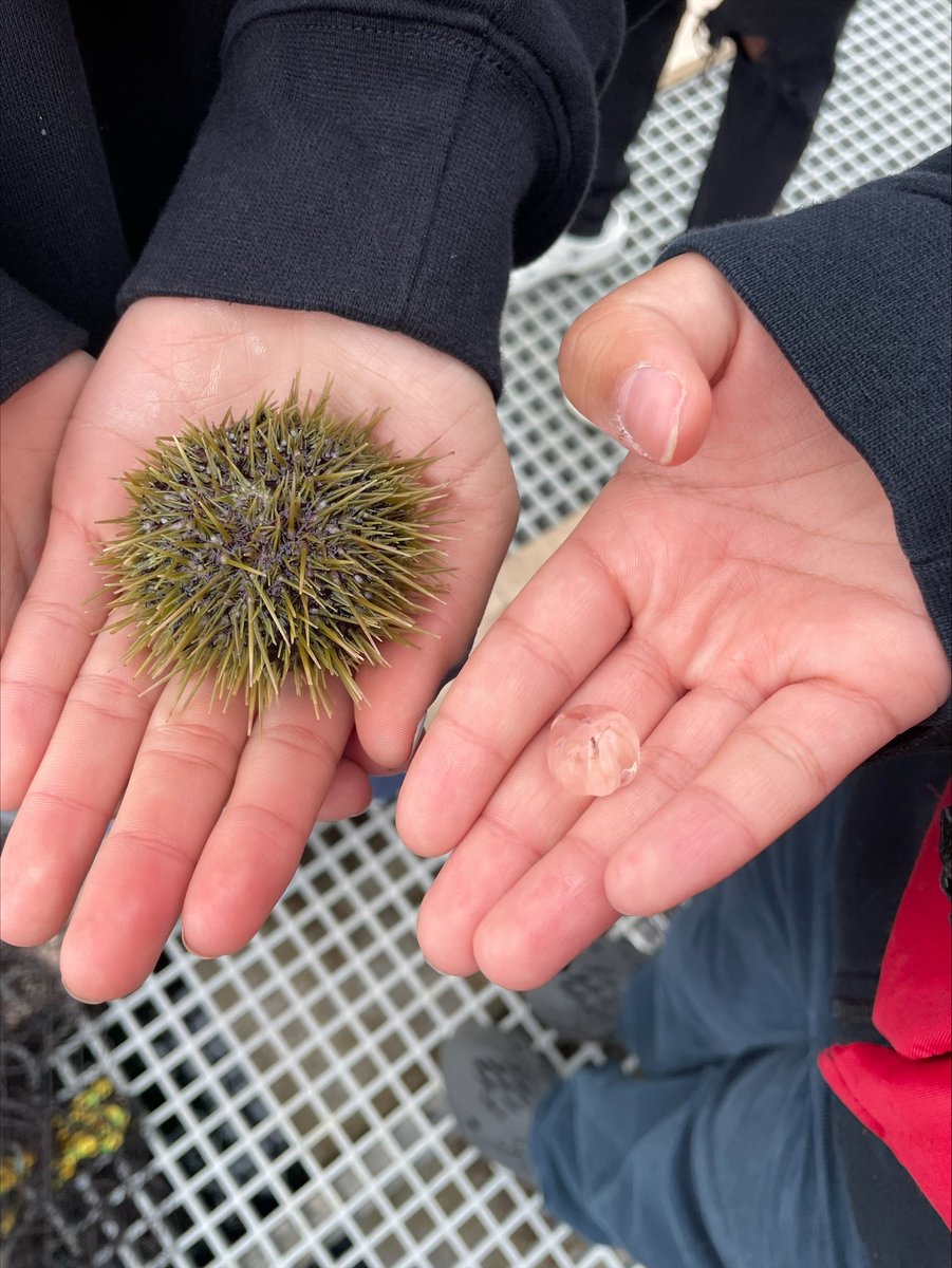 LeschiSchools's tweet photo. Our 9th grade biology students recently went on a field trip to Point Defiance Park where they fed salmon, observed marine animals living under the dock, surveyed plants/trees, and went for a hike.
#FutureBiologists #CreatingOpportunities https://t.co/b6CSeXUvYE