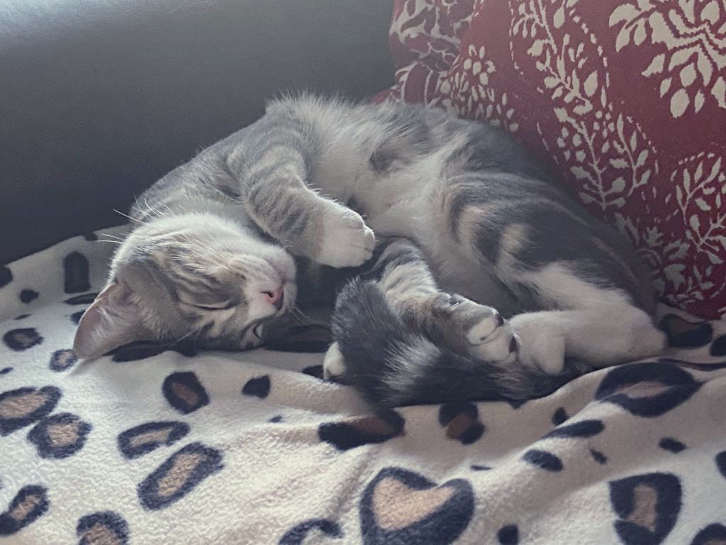 Don’t know why I only saw this now (hint: I don’t really twoter) but here you go 😂🩵 <a href="/taryn_1704/">Arsenic</a> 

Wallpaper 
Last song
7th picture

I’m not gonna tag cause I’m late and don’t know who did it 😂