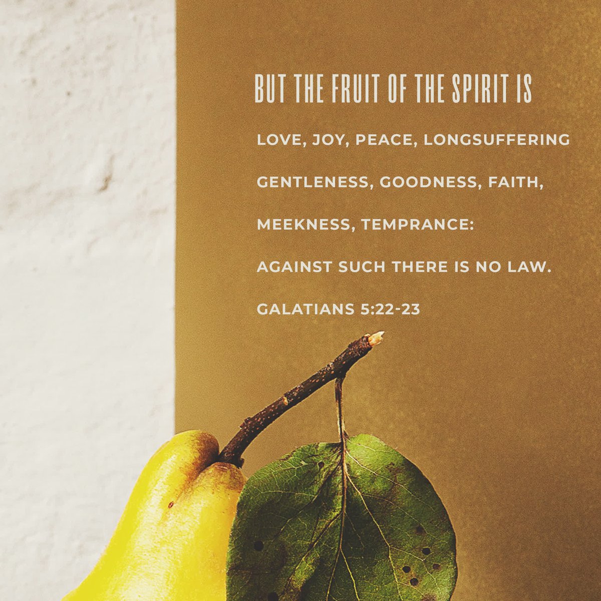 ClaysMillBapt's tweet image. See you tomorrow night at Wednesday Bible Study! Pastor Fugate will be continuing the series on the Fruits of the Spirit. 

Join us at 7 PM! 

#CMBC