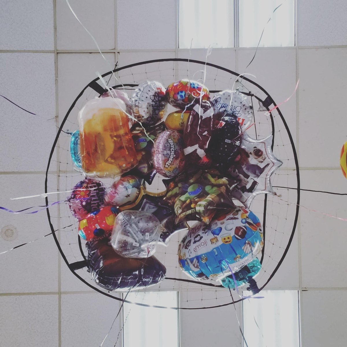 Duffy's Beer & Much More (@duffysbeer) on Twitter photo BALLOONS - BALLOONS - BALLOONS
Birthday
Baby
Anniversary 
Sports
Wedding
Shower
Gender reveal
Graduation BALLOONS - BALLOONS - BALLOONS
Birthday
Baby
Anniversary 
Sports
Wedding
Shower
Gender reveal
Graduation