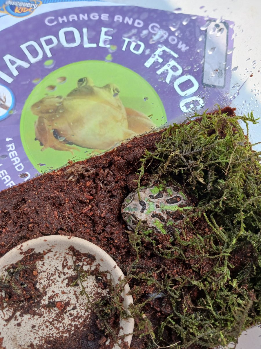 Anna Armstrong tweet media