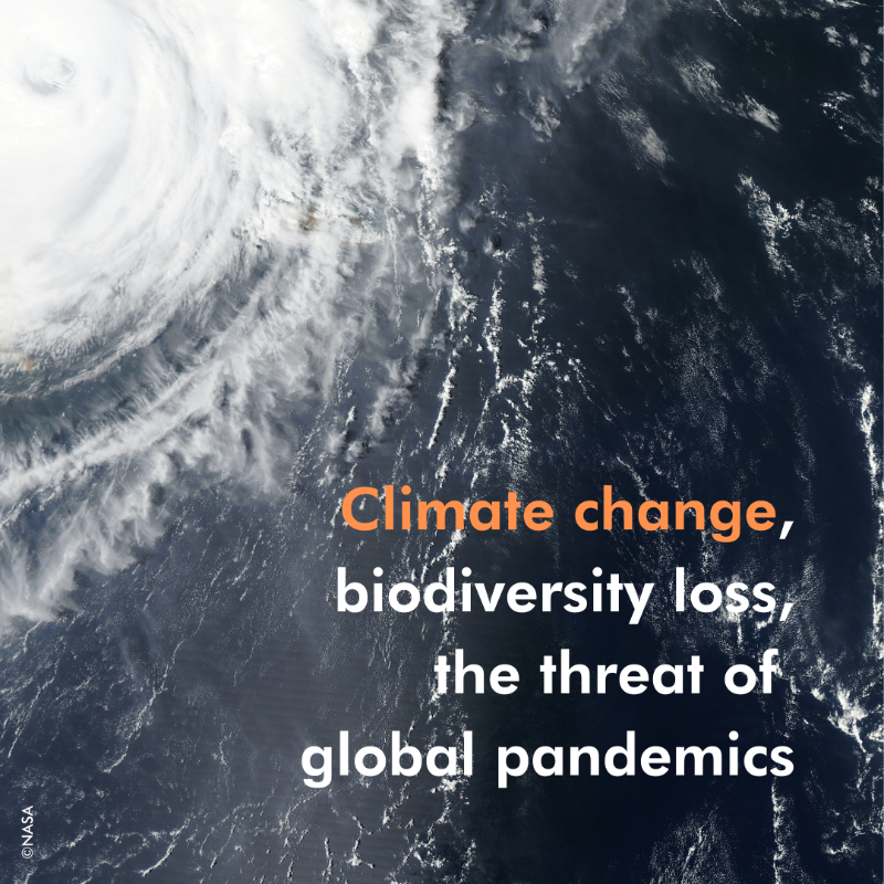 TheWCS's tweet photo. We must find sustainable financing to address the growing challenges to nature. If you're in the U.S., speak out in support of the U.S. Foundation for International Conservation. https://t.co/ToTOKBSz1p #FramingOurFuture #USFICA