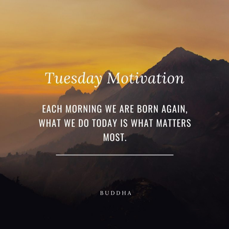 #TuesdayThoughts – “Each morning we are born again, what we do today is what that matters most.”

We hope you're having a wonderful Tuesday!
ZenRadio.com

💛

#TuesdayMotivation #Tuesday #RelaxingMusic #HealingMusic #CalmingMusic #PeacefulMusic #InternetRadio #ZenRadio