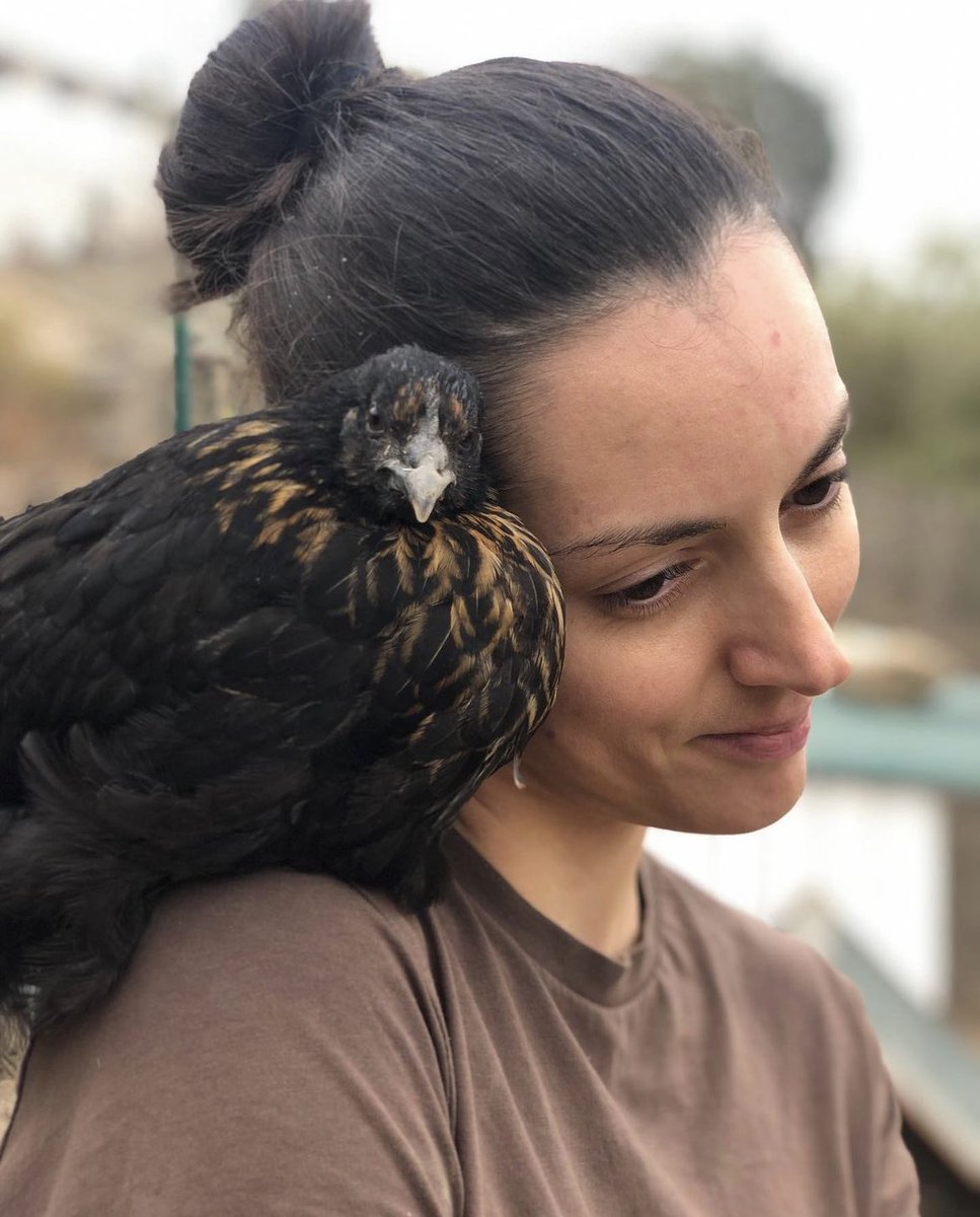 Jake Conroy tweet media