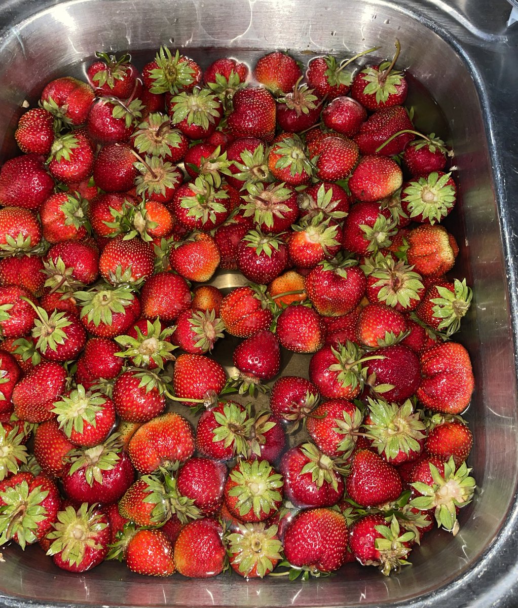 I look in my sink and it’s filled with strawberries, who did this?
