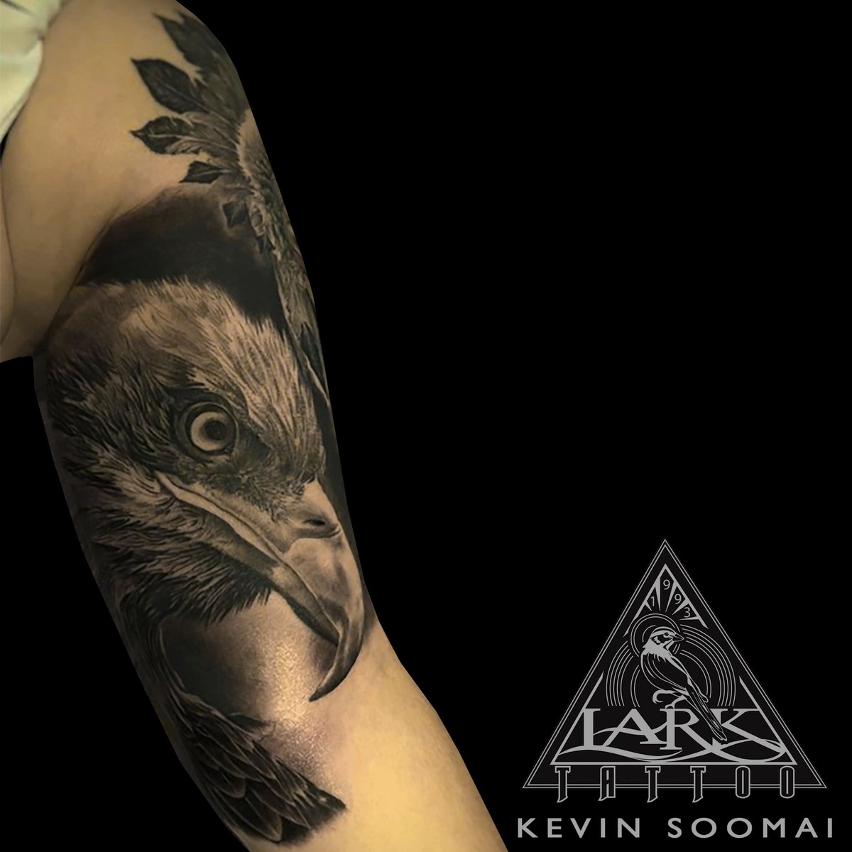 Lark Tattoo tweet media