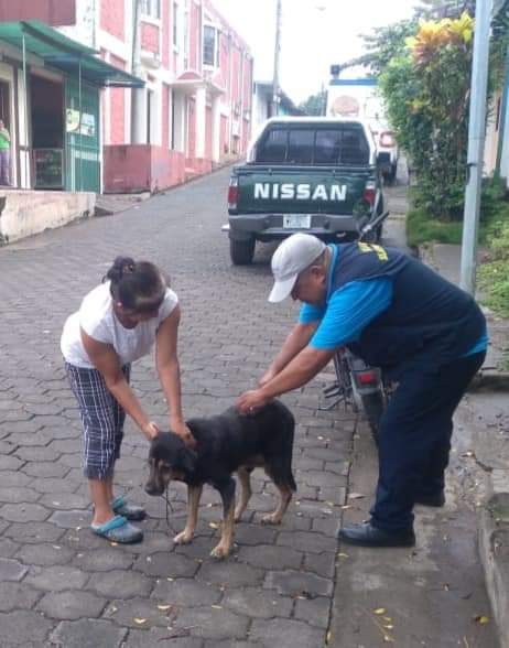 #Nicaragua|Esta mañana el Ministerio de Salud (MINSA) realizó jornada de vacunación Canina en el barrio Cristóbal Carballo del Municipio de Catarina. 🐶🐕🦮💉

#JunioEnVictorias 
#PLOMO19