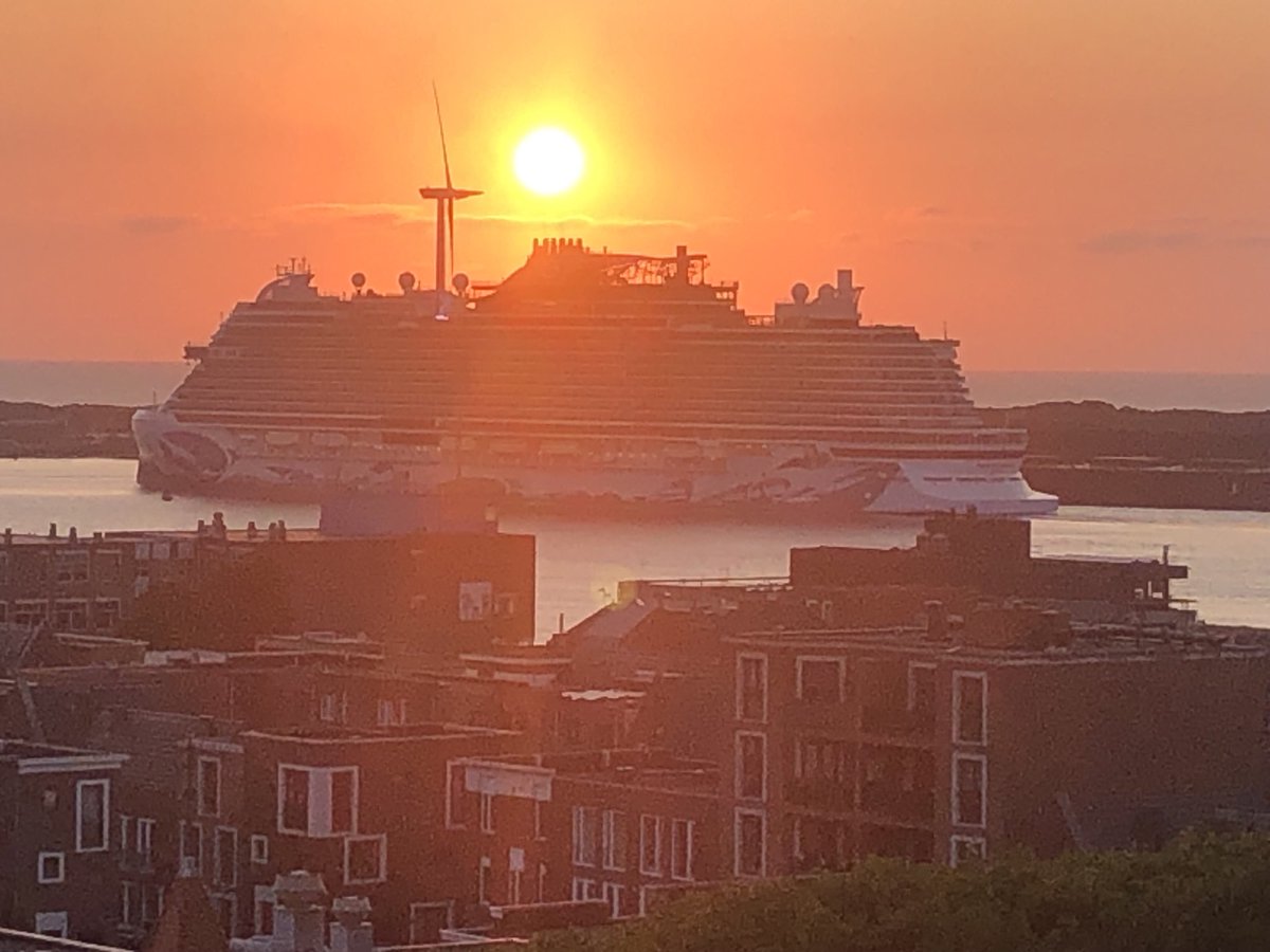 Ron Davio tweet media