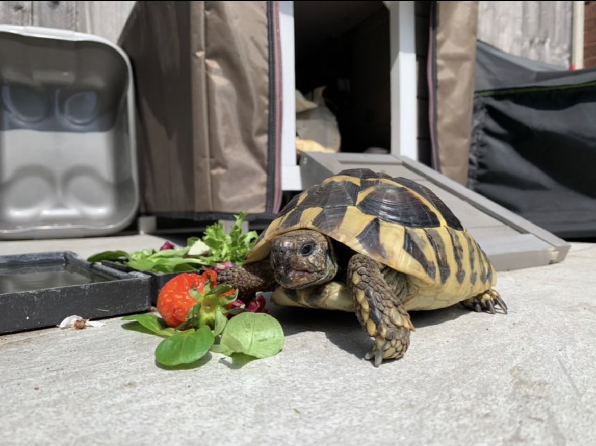 PillarsofHell's tweet image. 