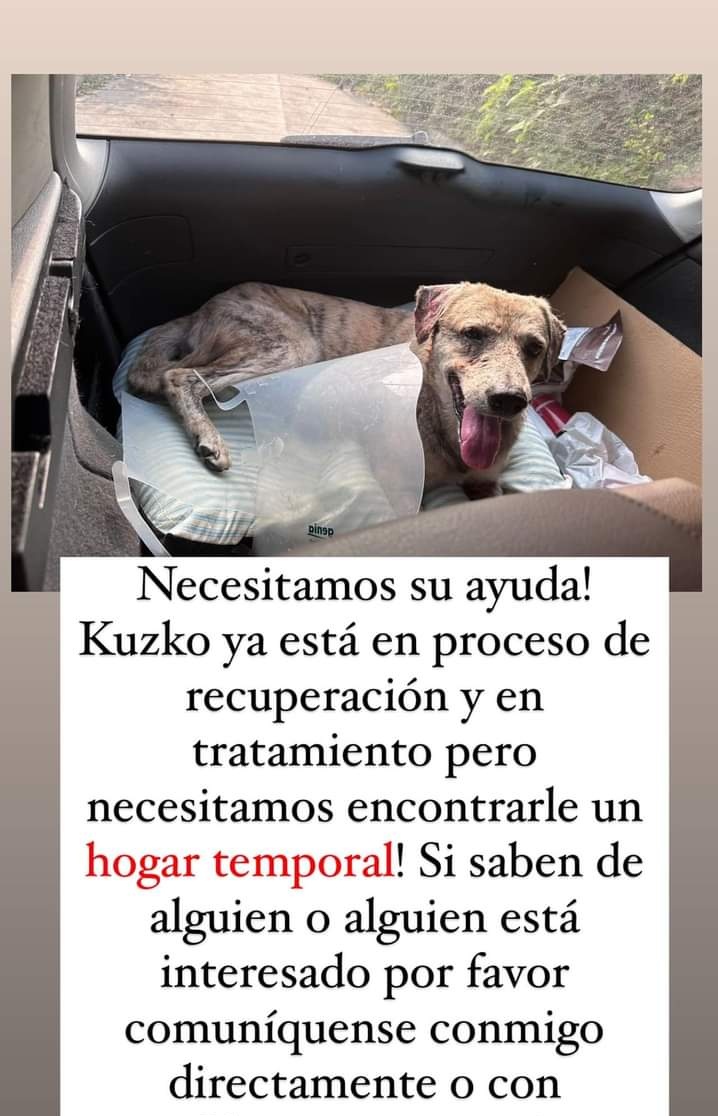 Eva Rivas tweet media