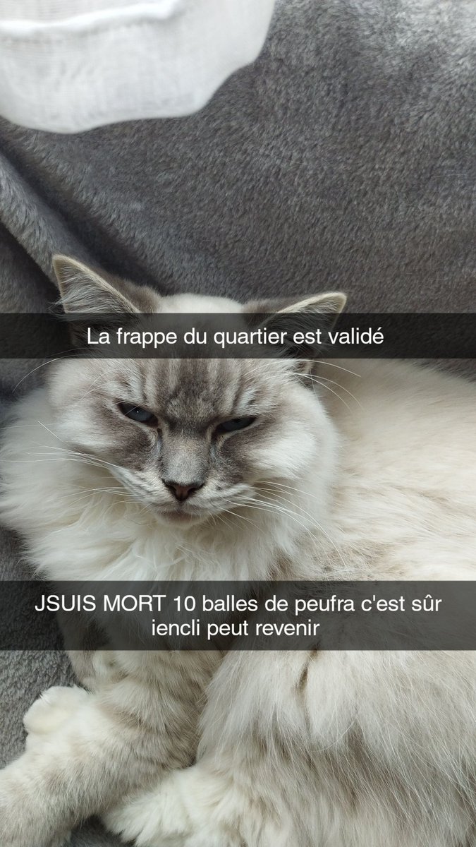 tomlechatblanc's tweet photo. THREAD ma longue absence lié à mon addiction à la drogue https://t.co/WdKEisdHiP