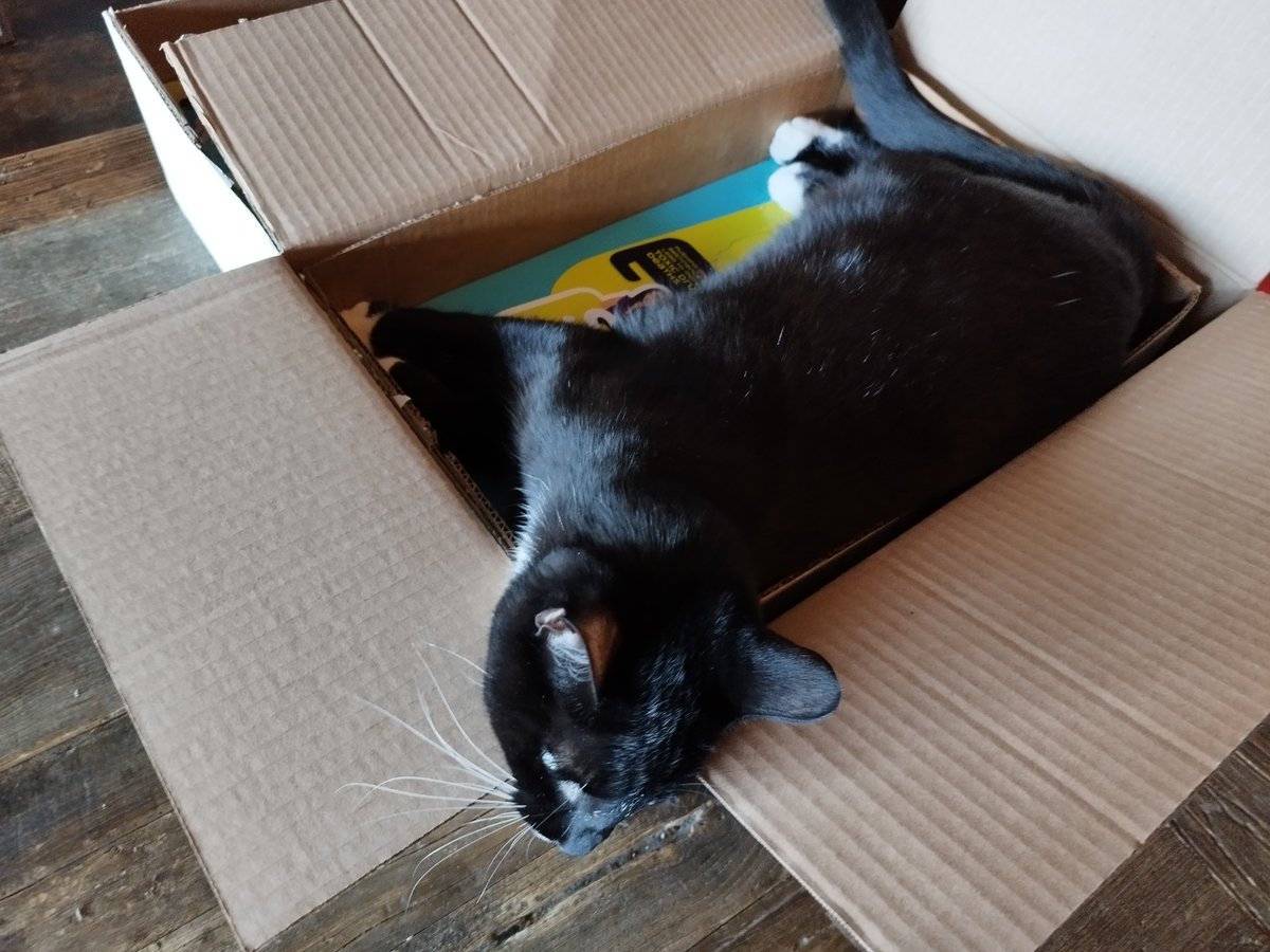 HelloCoolWorld's tweet photo. #SAYproject Posters getting ready to go out to 8 BC interior locations, with Gigi helping!
 Check it out! #Harmreductionworks https://t.co/nSh9ue92fA https://t.co/XqoOdIsKzQ