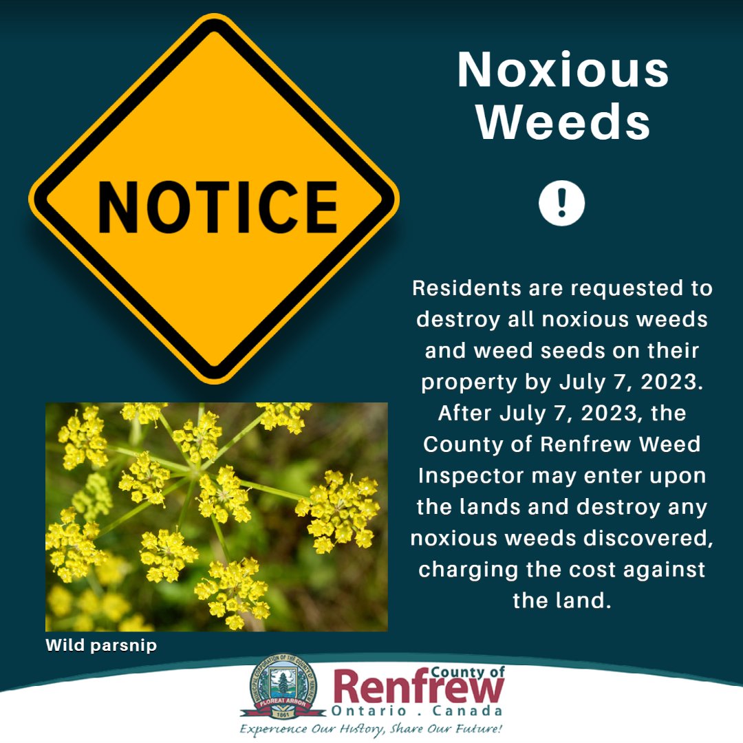 PUBLIC NOTICE:

As per regulations under the Weed Control Act, please see the notice on our website about the timeline for dealing with Noxious Weeds on your property.

countyofrenfrew.on.ca/en/news/notice…

#NoxiousWeeds #PublicNotice #RenfrewCounty