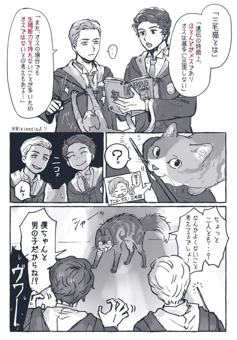 転入生のアニメーガスが三毛猫だった話 (⚠︎若干の下ネタ)