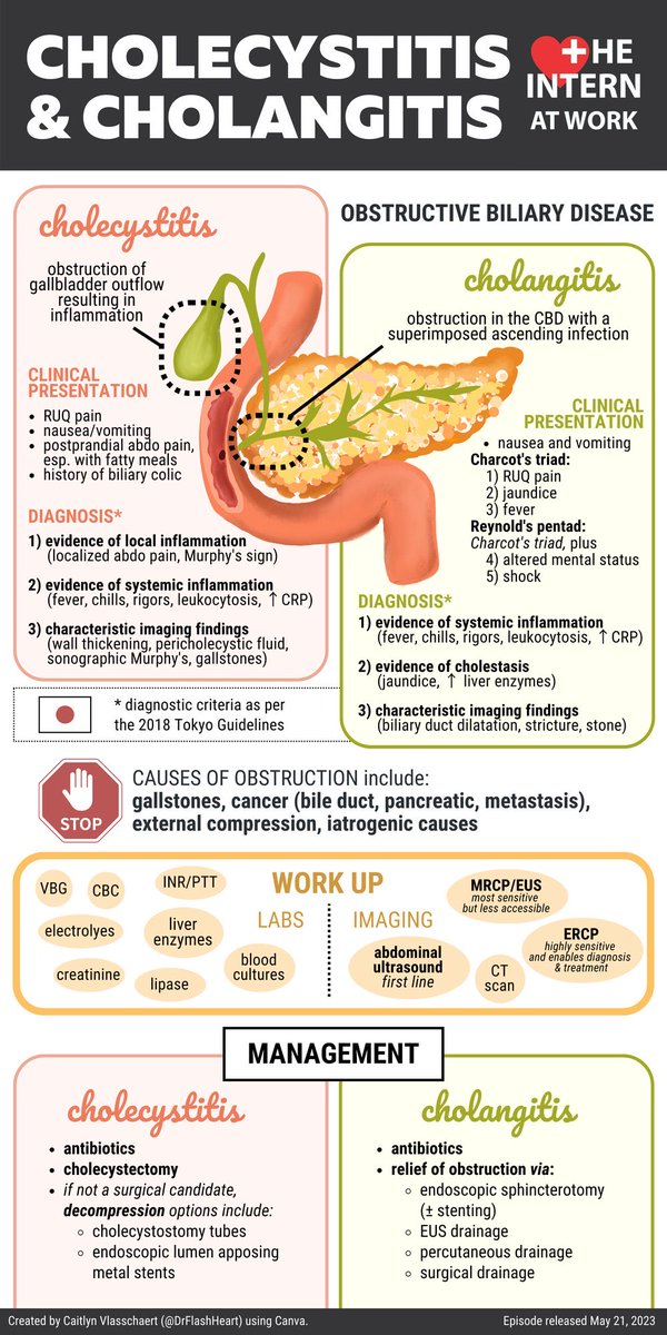 drkeithsiau's tweet image. A beautiful infographic on cholecystitis and cholangitis by @InternAtWork 👏🙇🏻‍♂️