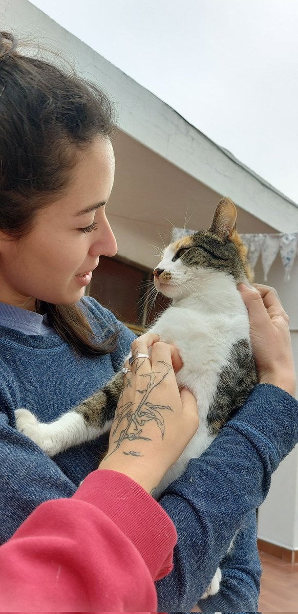 me mudé con éstas, traducción: vivo con dos ángeles