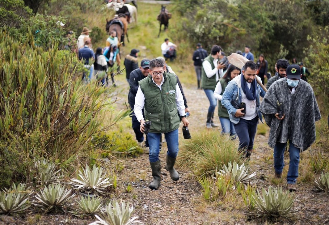 RamiroBarraganA's tweet photo. ¡Sembramos 200 frailejones en zona de páramo en Arcabuco🙌🏻, una obra para el futuro y la vida misma!

Fueron 3 horas y media de camino, en medio de vegetación y espesa niebla para llegar al corredor de páramos Iguaque - Merchán a sembrar vida🌱. 

Con vecinos de la zona, expertos y todo nuestro equipo de gobierno subimos a más de 3.400 metros de altura para ayudar a este ecosistema a preservar las especies y la producción de agua💧.

Ya son más de 300 mil plantas sembradas en nuestro gobierno en varios ecosistemas de Boyacá.

#SemanaAmbiental
#ObrasParaLaVida