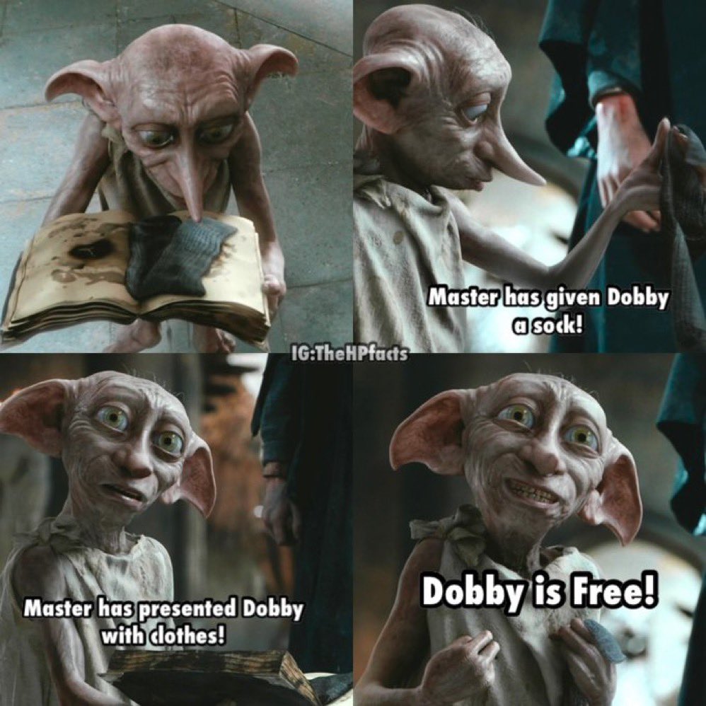 Master has given Dobby a sock 🧦