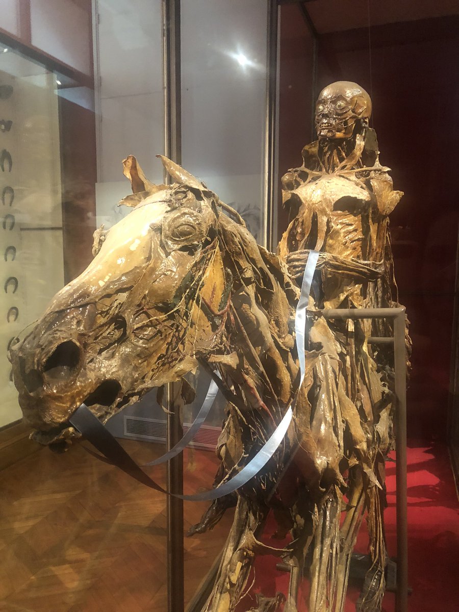 Anne-Sophie Barthez tweet media