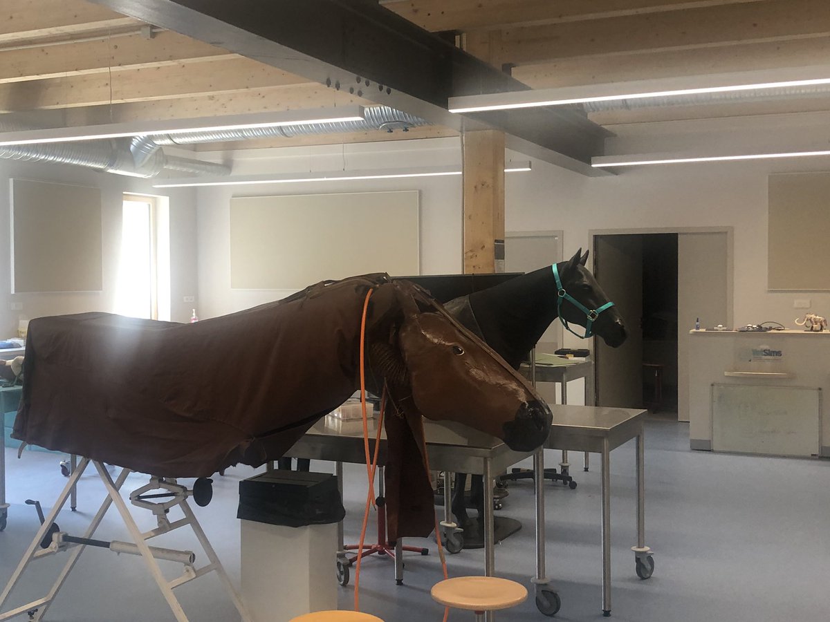 Visite d’une formidable école de vétérinaire ! 🙏@Env_Alfort pour la visite de son musée Fragonard (fascinantes collections!), ses salles de simulation, son hôpital au ♥️ du campus, ses amphis avec box pour 🐄 et 🐎 … et ses étudiants enthousiasmants ! @sup_recherche @Agri_Gouv