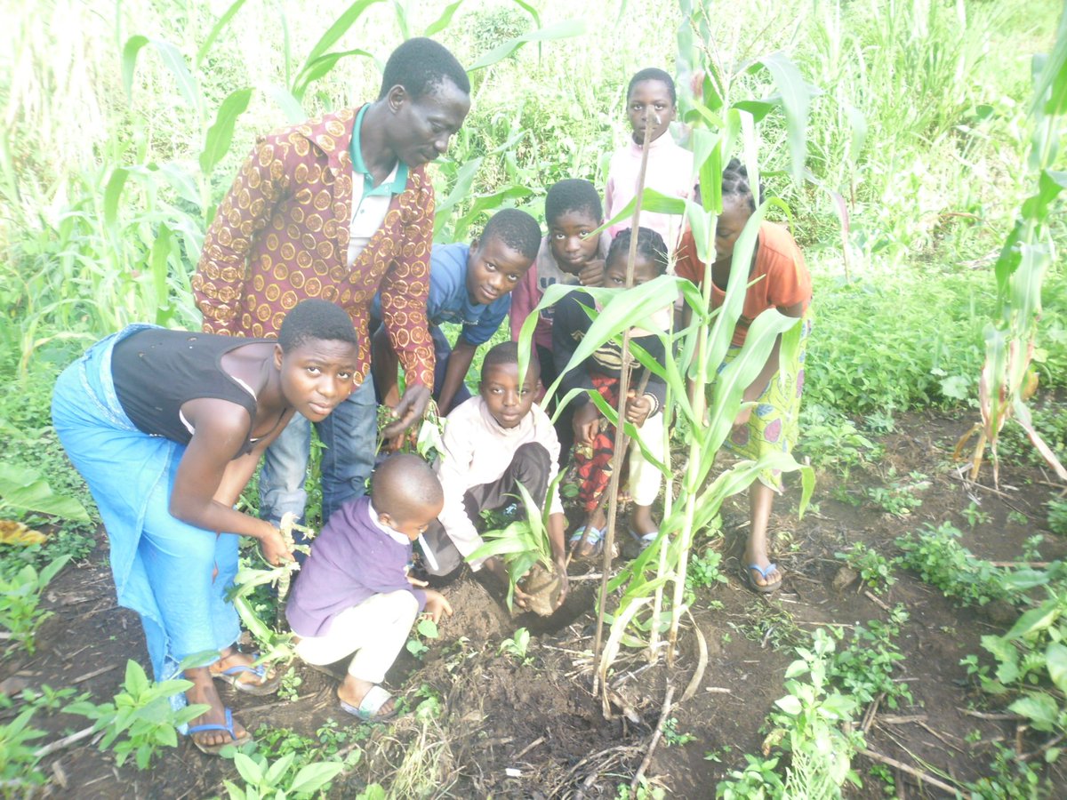 It start with teaching so when growing up they know the soil a part of them. You can't  like what you know nothing about. 

#Nature #Earth #GreenBeauty
#Cameroon #endanglophonecrisis #PeaceNotWar #childrenrightsarehumanrights are #humanrights 
💙 #GreenWarriors #GreenFuture