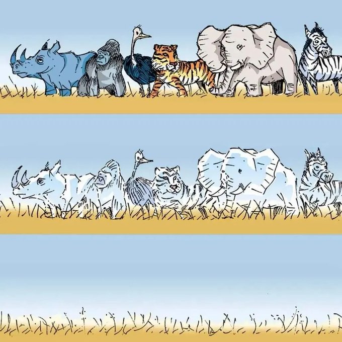 UN Biodiversity tweet media