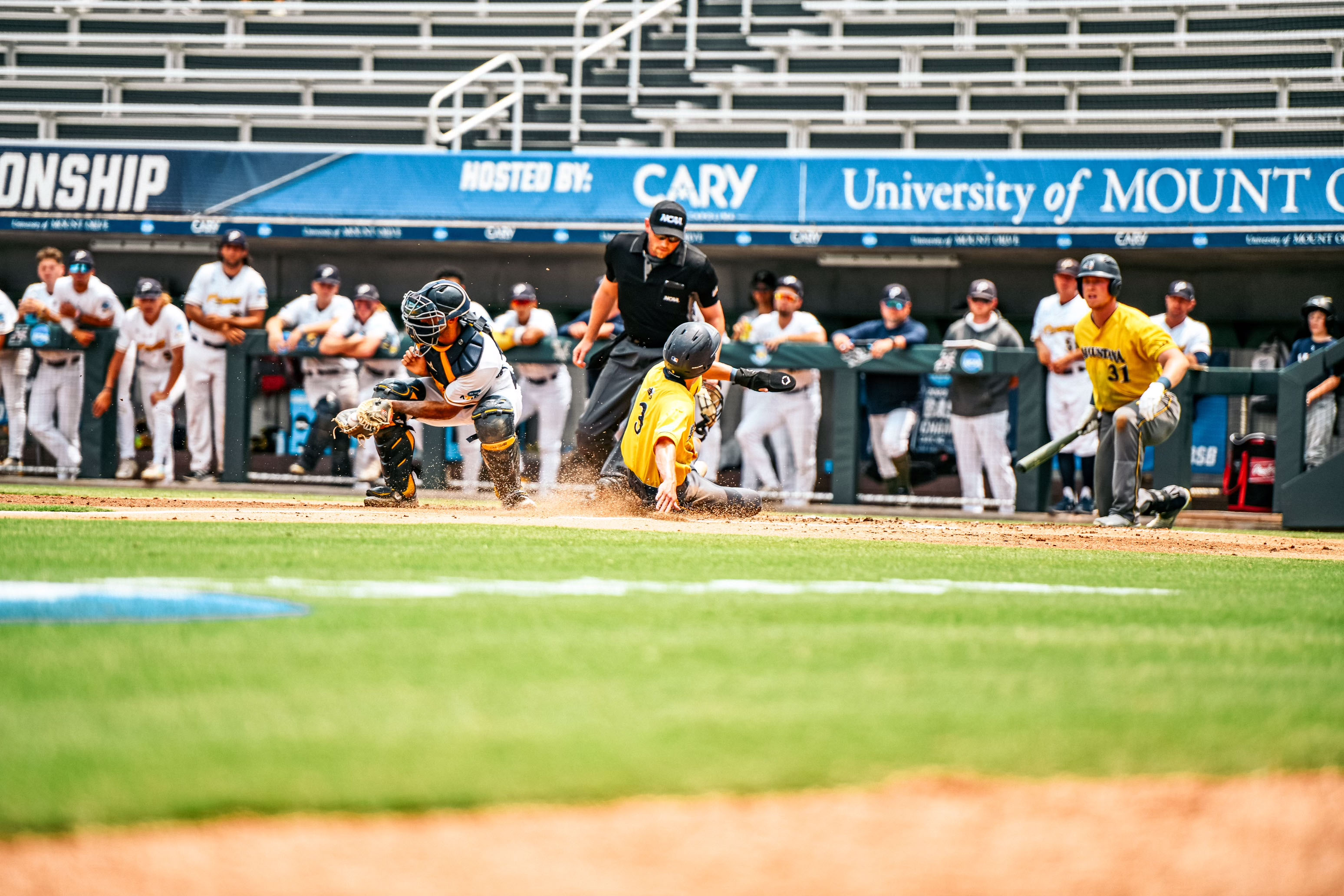 Augustana Baseball (AugieBaseball) / Twitter