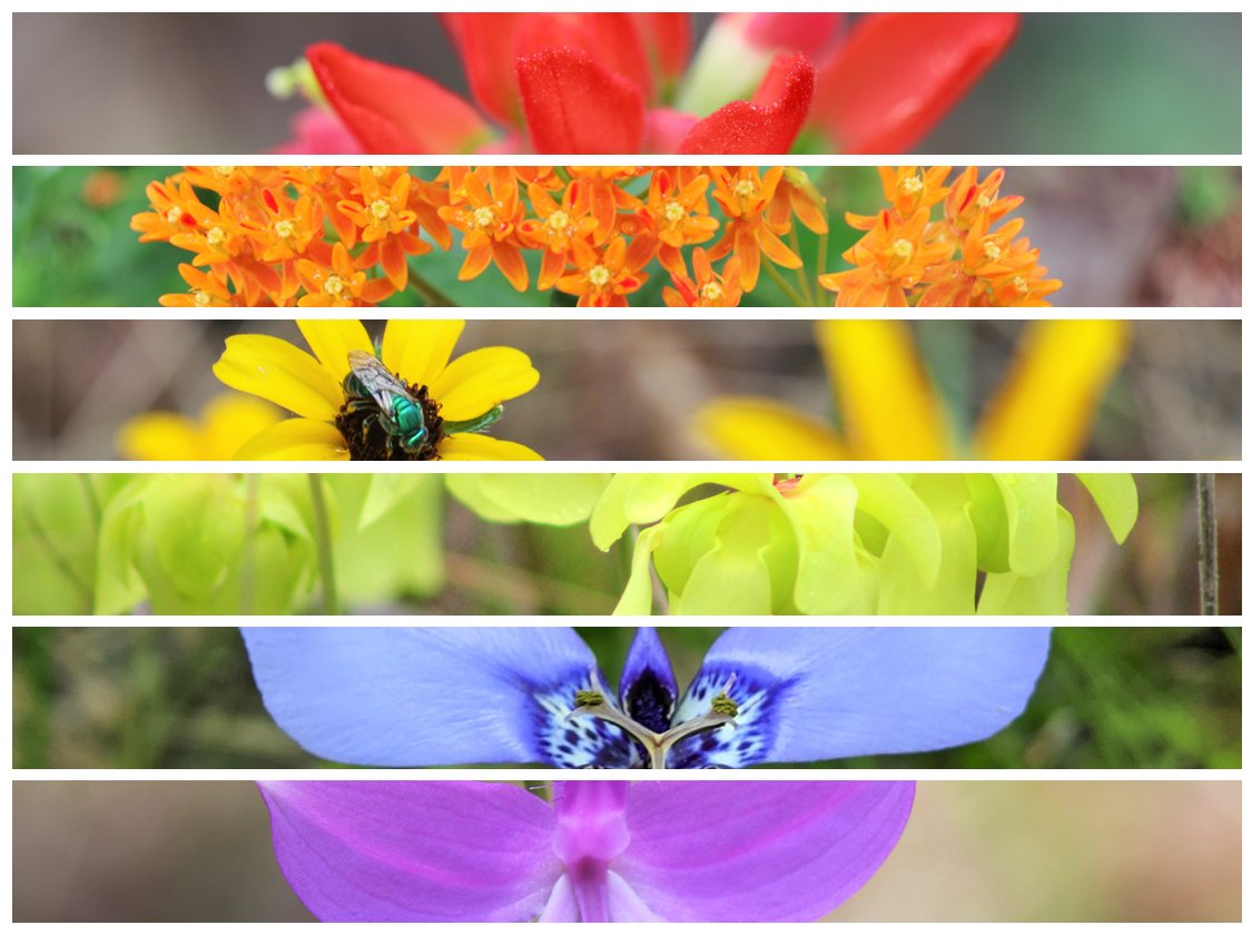 It's "Mrs. Powers" during my day job. on Twitter "RT BigThicketNPS