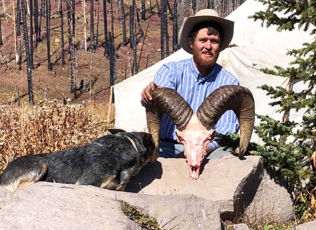 Trips4Trade tweet media