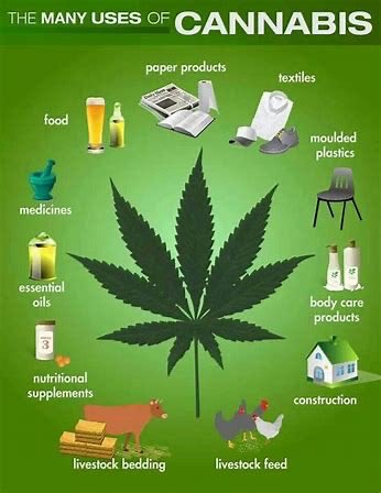 brianhugstrees's tweet photo. I’m gonna need #legalizecannabis & #growhemp to unite, we’re cousins!
#endfossilfuels
#breakfreefromplastic #enddeforestation #regenerativeagriculture
#hempbiofuel
#hempcrete
#endpharmagreed
#healthyeating https://t.co/aCsWCapGzS