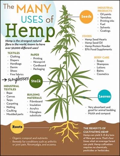 I’m gonna need #legalizecannabis & #growhemp to unite, we’re cousins! 

#endfossilfuels
#breakfreefromplastic #enddeforestation #regenerativeagriculture 
#hempbiofuel
#hempcrete
#endpharmagreed 
#healthyeating