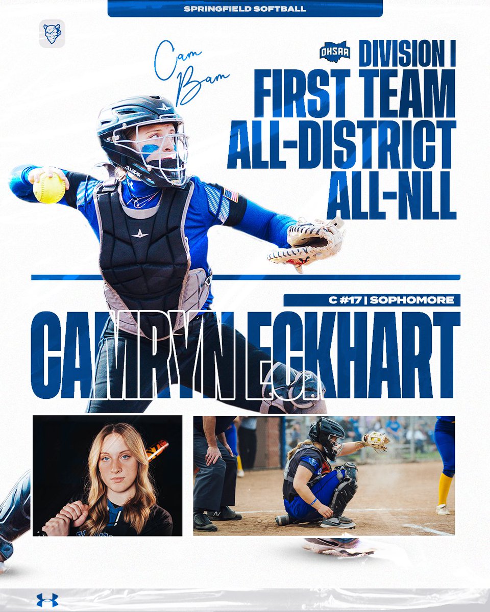 Holland Springfield Softball tweet media