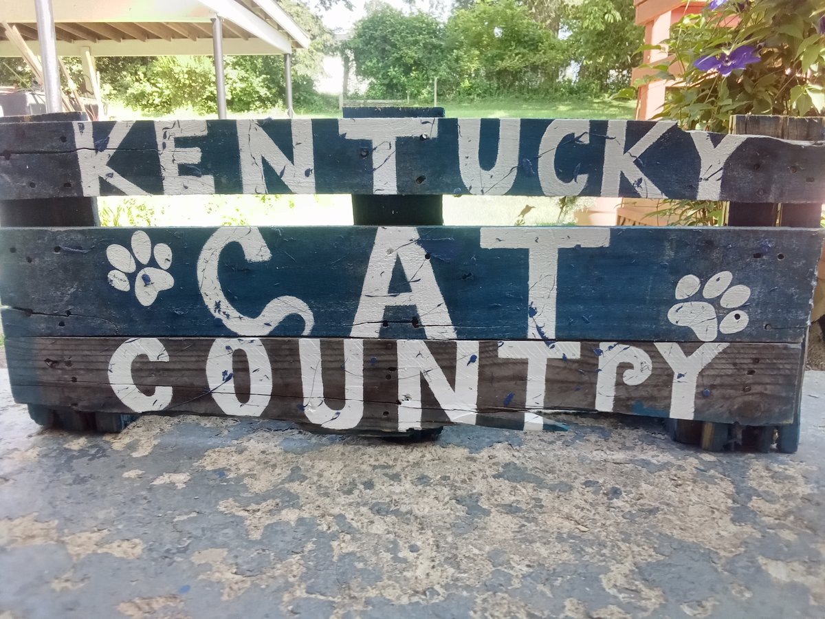 Phase 3 Of the Cat Country Sign . Whats yall thoughts?
#collegebasketball #fans #fanart #kentuckywildcats #signage #creativeart #alwayscreating #painting #art #artwork #artist #signart #forthehome #mancave