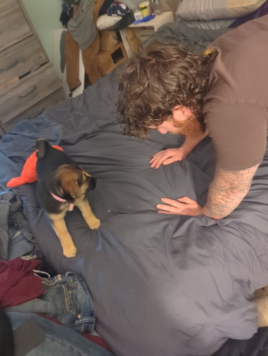 My husband has one of our foster puppies out of the group, IN OUR BED. Pls send help, I can't keep another one 🙃
